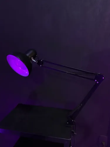 Luminária de Bancada Articulada com Garra - Impecável