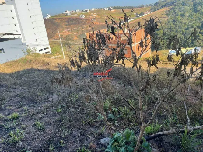 Lote à Venda no Bairro Paraíso, em Ponte Nova/MG