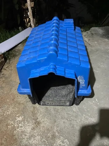 Casa de cachorro 