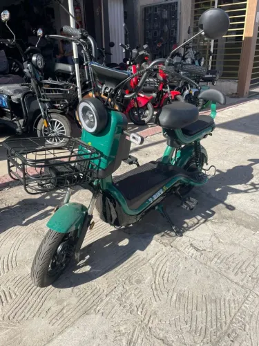 Bicicleta Elétrica 1000w bateria removível verde