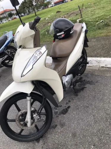 Biz branca 2019