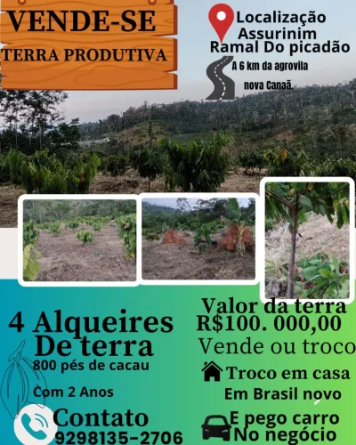 Todas as informações tá na foto