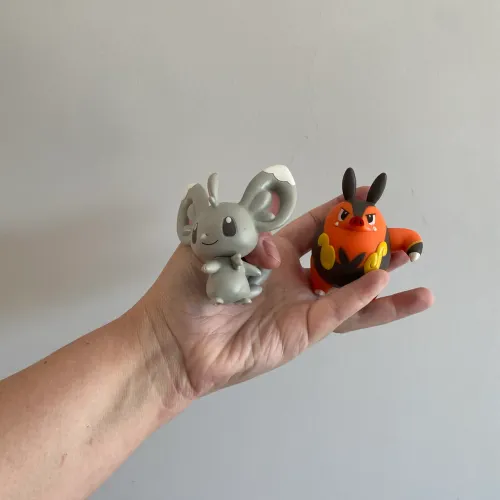 Minccino e Pignite Pokemon