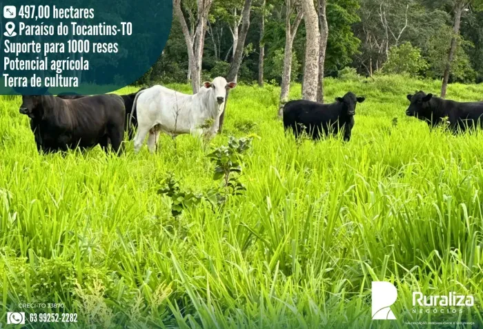 INVESTIMENTO RURAL | ALTA PRODUTIVIDADE E ESTRUTURA COMPLETA