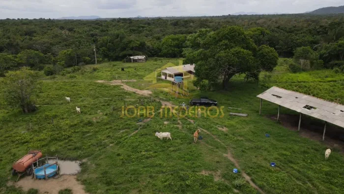*FAZENDA À VENDA - DUPLA APTIDÃO (SOJA E PECUÁRIA)