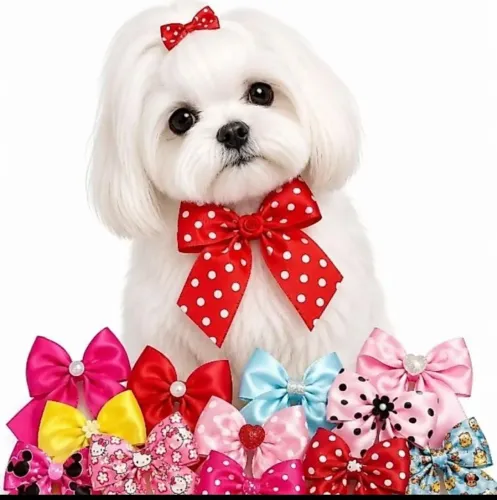 Roupas de pet