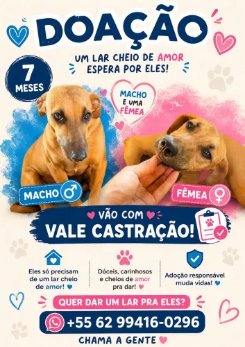 Doção
