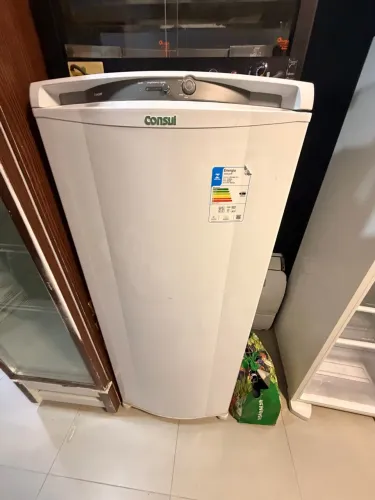 Freezer Vertical  293lt 