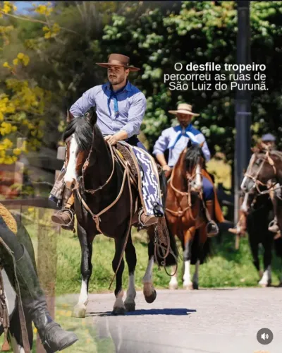Cavalo Crioulo