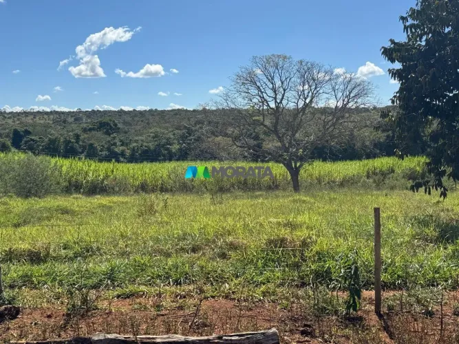 FAZENDA À VENDA - 100 HECTARES - MORRO DA GARÇA (MG)