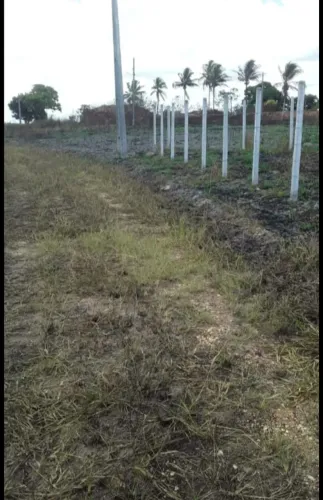 VENDO TERRENO SALGADO-SE