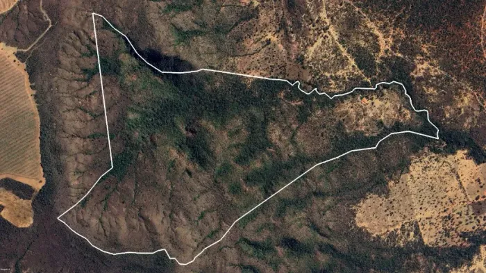 Fazenda 137 Hectares em Buritis-MG | Casa, Água, Energia e Terra para Plantio