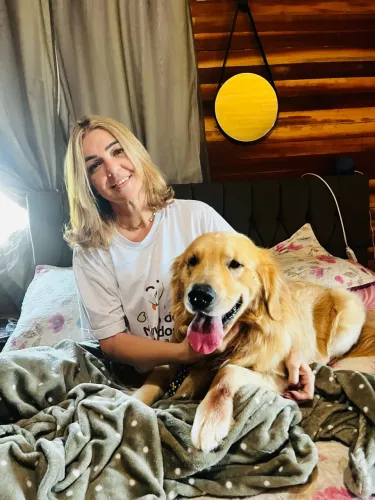 lindos goldens retriever