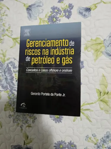 Livro Gerenciamento de riscos na indústria de petróleo e gás: Conceitos e casos offshore..
