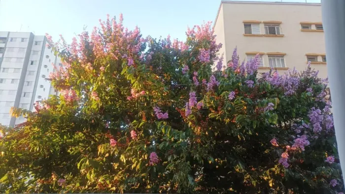 Apartamento à venda em Campinas, Bosque, com 1 quarto, com 65.46 m², Giordano