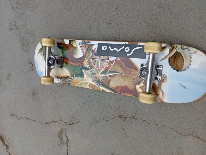 skate de maple semi-profissional