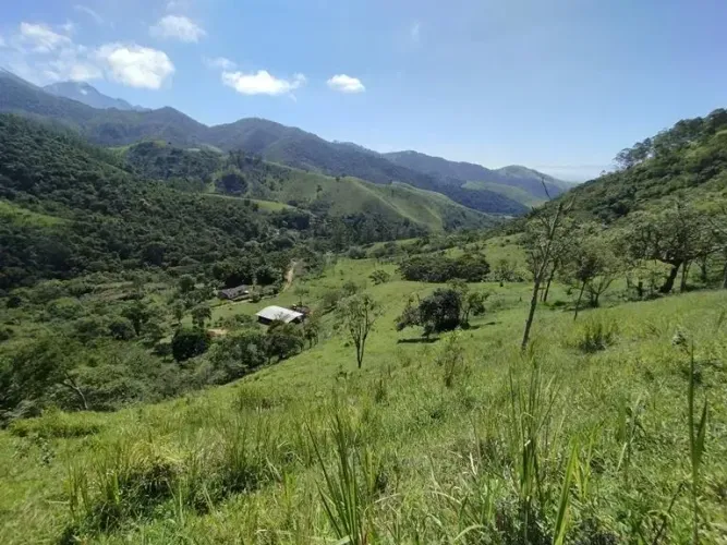 SÍTIO FORMADO COM FÁCIL ACESSO E PASTO FORMADO EM PIQUETE-SP