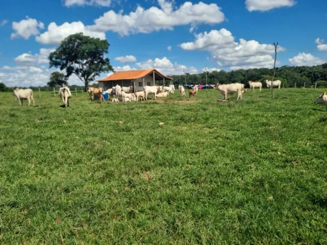 Sitio 18 alqueires em porangaba 1 casa sede 1 casa de caseiro Poço artesiano Há 2.500 metr