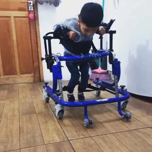 Andador adaptado 