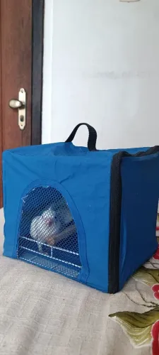 Gaiola para transporte