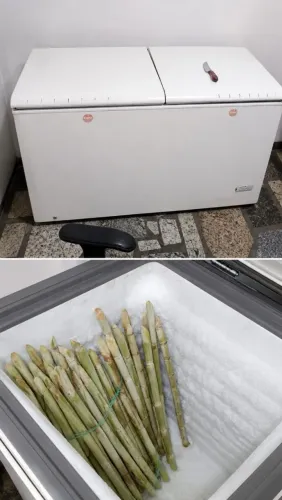 FREEZER HORIZONTAL