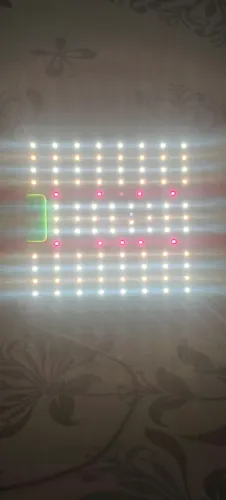 Led grow