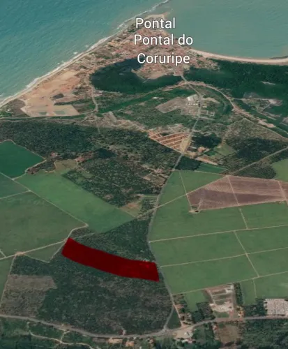 SÍTIO DE COQUEIROS EM PONTAL DE CORURIPE