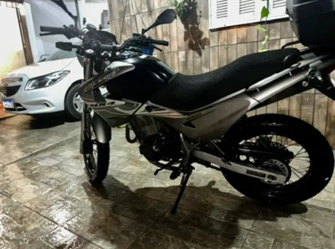 Falcon