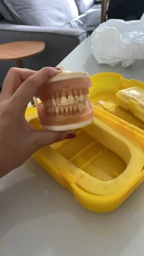 manequim pronew + dentes extras