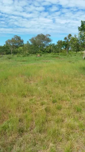 Vendo Chácara 10 alqueires, Pasto, Energia, Perto do rio