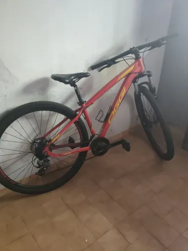 Bike Oggi 