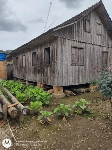 Sítio Raiz com 25.000m² em Tijucas Bairro Oliveira com Pastagem a água