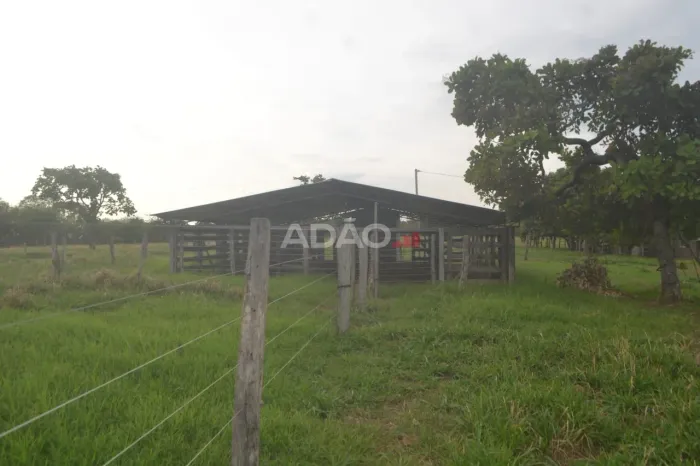 São Miguel do Passo Quatro