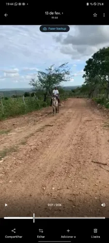 Cavalo baxeiro para vender ou negociar em algo do meu interesse