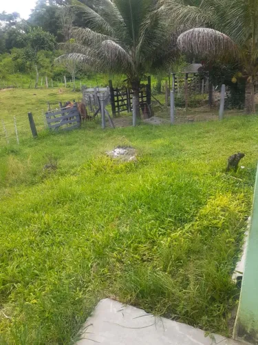 trabalho de caseiro 
