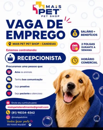 Recepcionista