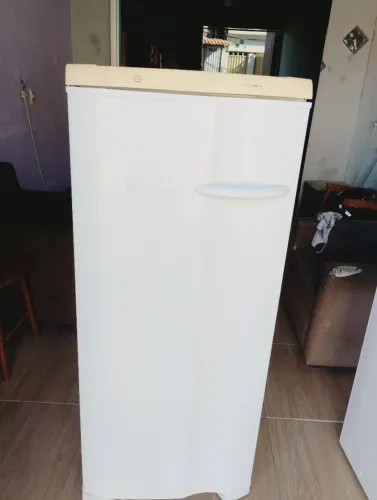 Vendo freezer