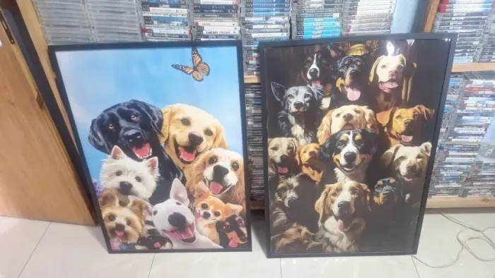 quadros de cachorro tema pet grandes