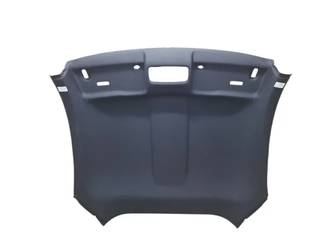 Forro Teto Audi Ttrs 2.5 2020 2021 8s8867505h