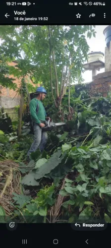 Serviço de limpeza de quintal e polda