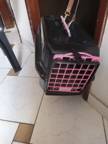 Casulo de transporte de cães ou gatos pequenos