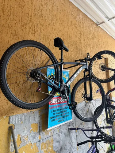 Bicicleta 29