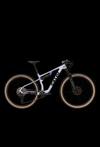 Caloi elite carbon fs Racing
