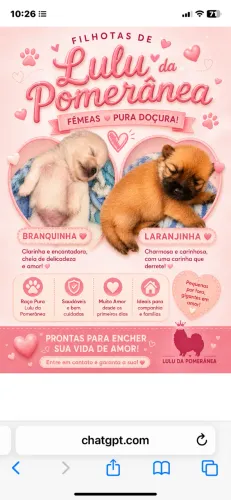 Filhotes de cachorro