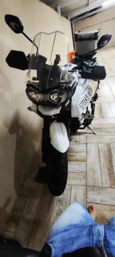 Tiger 800