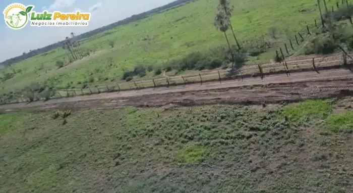FAZENDA À VENDA EM CORUMBÁ MS 19.130 HECTARES (PECUÁRIA)