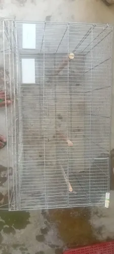 Gaiola para calopsita o Ringnek