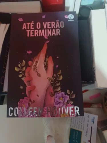 Livro- Até o verão terminar
