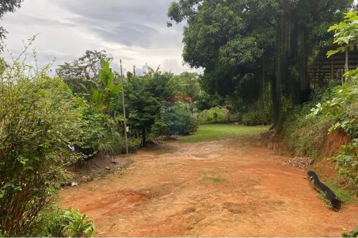 Sítio Exclusivo de 3,6 Hectares na Região da Gameleira Muriaé, MG