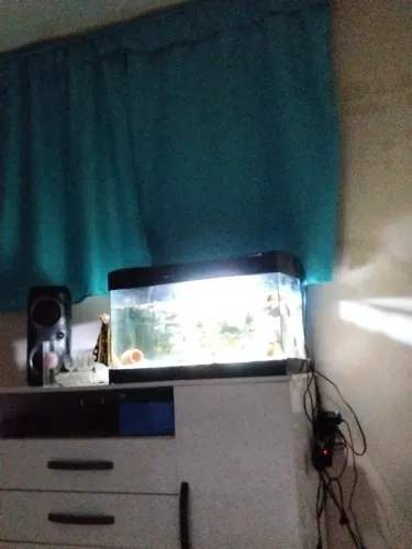 Aquário 